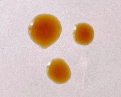 Cleban & Daughters Health & Wellness Electra Tincture