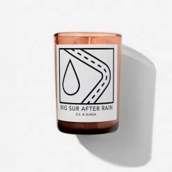 D.S. & Durga Big Sur After Rain Candle Bedside